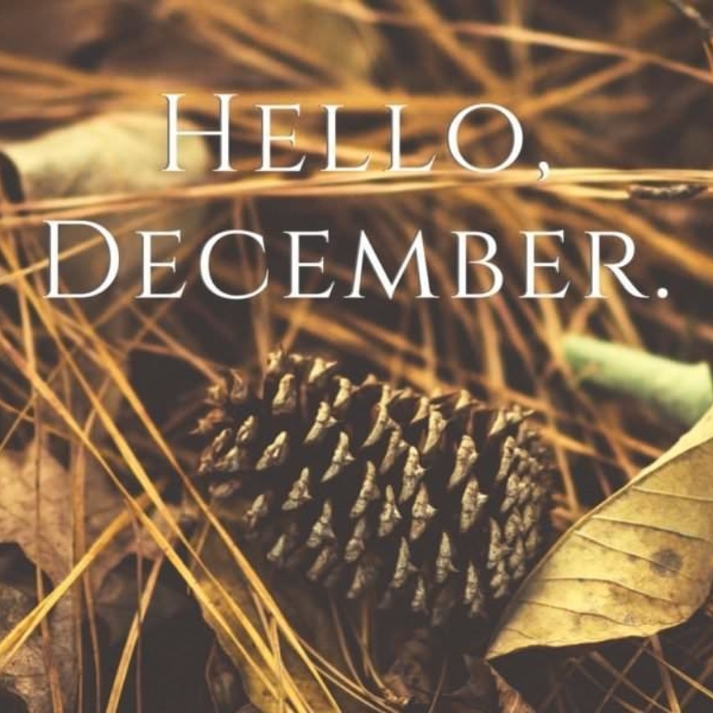 Hello Fall! - image 1